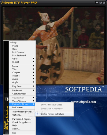 Aviosoft DTV Player Pro screenshot 5