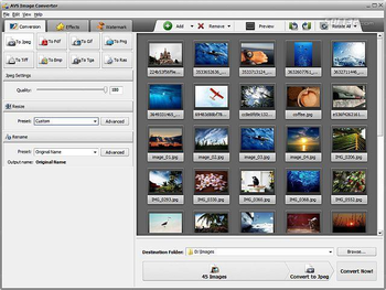 AVS Image Converter screenshot 2