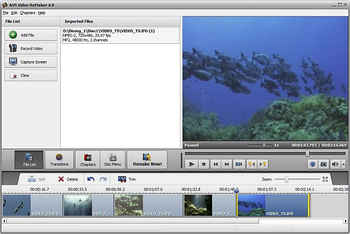 AVS Video ReMaker screenshot