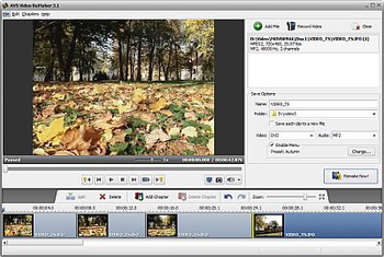 AVS Video ReMaker screenshot