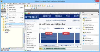 Awasu Professional Edition screenshot 3