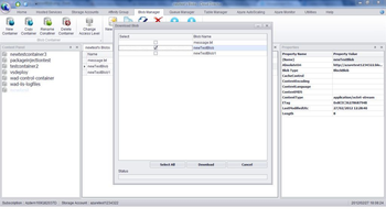 Azure Cloud Director screenshot 13