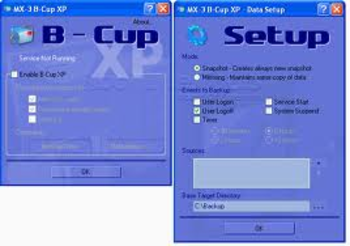 B-Cup XP screenshot