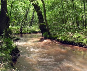 Babbling Brook screenshot 2