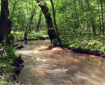 Babbling Brook screenshot 3