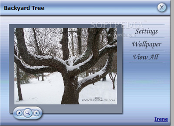 Backyard Winter Screensaver screenshot