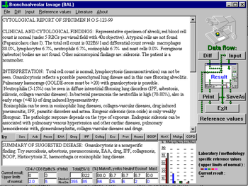 BAL2000 screenshot 2