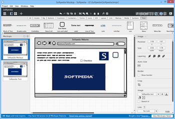 Balsamiq Mockups screenshot 11