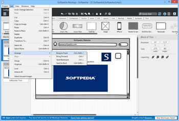 Balsamiq Mockups screenshot 4