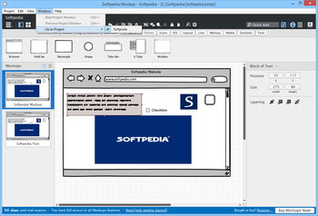 Balsamiq Mockups screenshot 6