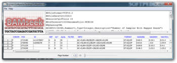 BAMseek screenshot