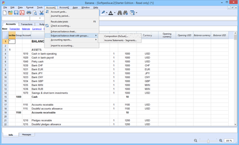 Banana Accounting screenshot 8