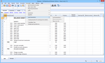 Banana Accounting screenshot 9