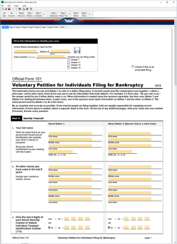 Bankruptcy Software screenshot