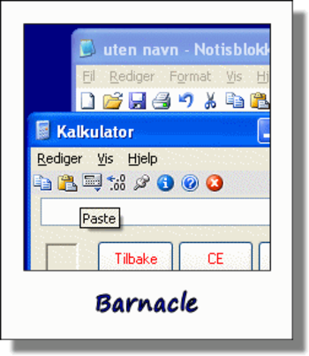 Barnacle screenshot 2