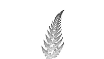 Barnsley Fern Fractal screenshot