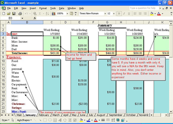 Basic Home Budget screenshot 2