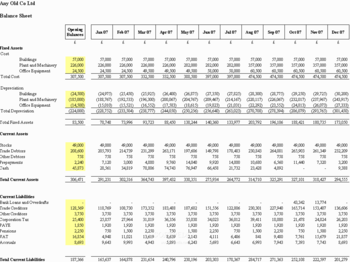 Basic Integrated Cash Flow screenshot 2