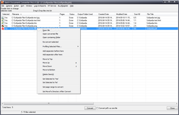 Batch Document Converter Pro screenshot