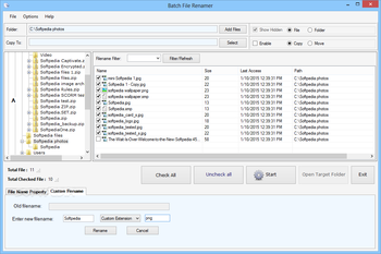 Batch File Renamer screenshot 2