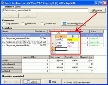 Batch Replacer for MS Word screenshot 2