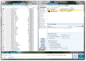 Batch Text File Editor screenshot 2