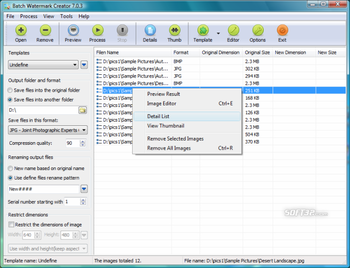 Batch Watermark Creator screenshot 3