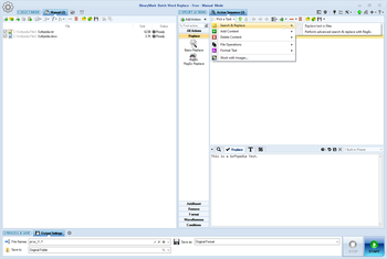 Batch Word Replace screenshot 2