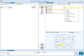 Batch Word Replace screenshot 3