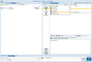 Batch Word Replace screenshot 4