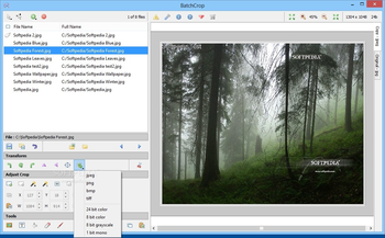 BatchCrop screenshot 2