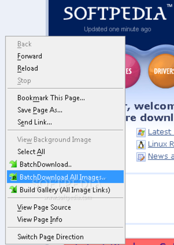 BatchDownload screenshot