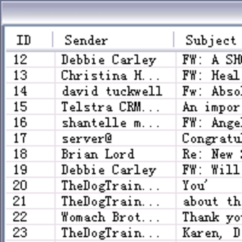BatchEmailSearcher screenshot