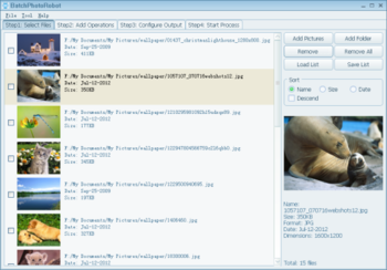 BatchPhotoRobot screenshot 4