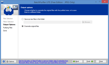 BatchPurifier Lite screenshot 2