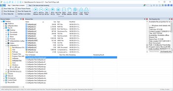 BatchRename Pro screenshot