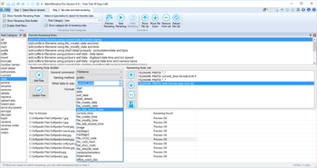 BatchRename Pro screenshot 3