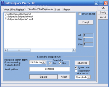 BatchReplace Pro screenshot 2
