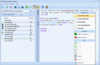 BatchSpellChecker screenshot 2