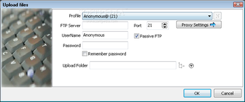 BDSizer screenshot 2
