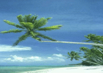 Beach Scenes screenshot