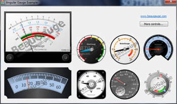 BeauGauge Control screenshot