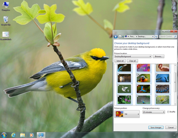 Beautiful Birds Theme screenshot