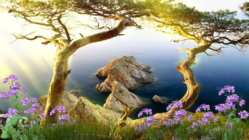 Beautiful Landscape Screensaver screenshot