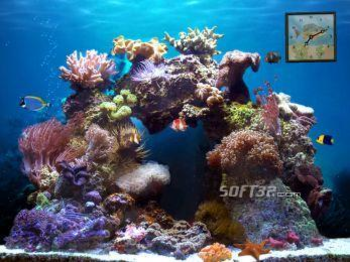 Beautiful Reef [AD] screenshot 2