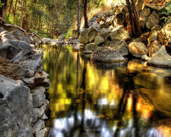 Beautiful Water Stream Screensaver screenshot