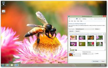 Bees Theme screenshot
