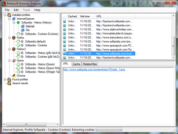 Belkasoft Browser Analyzer screenshot