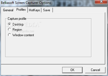 Belkasoft Screen Capturer screenshot 3