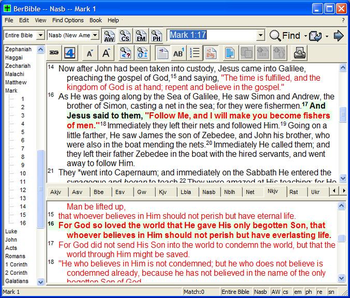 Berean Bible screenshot 2
